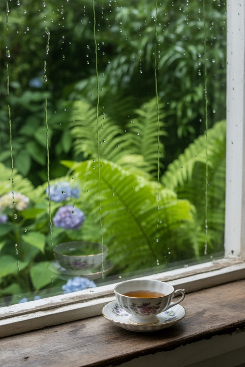 A cup of tea by a rainy window