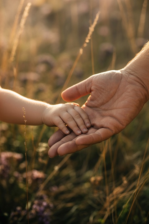 A child's hand in a grown-up's