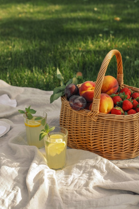 A picnic blanket in a park